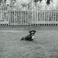 2024-Roll-169_04_edit